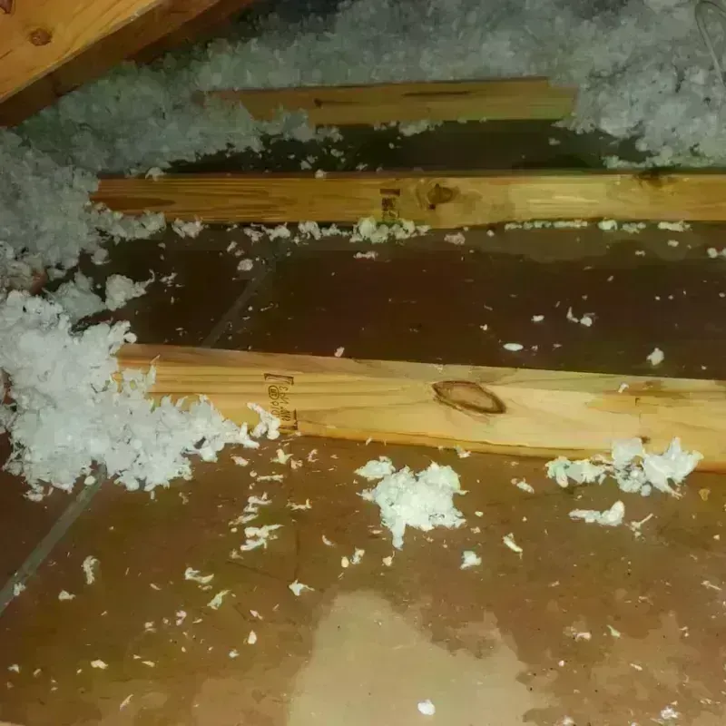 Attic Water Damage in Harrison County, MO