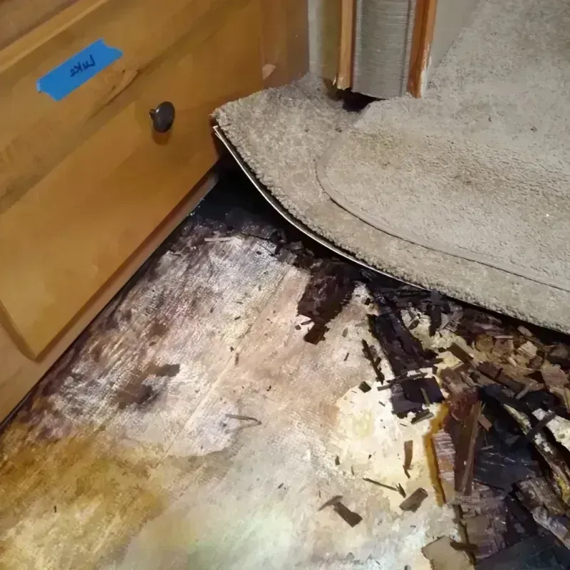 Wood Floor Water Damage in Harrison County, MO